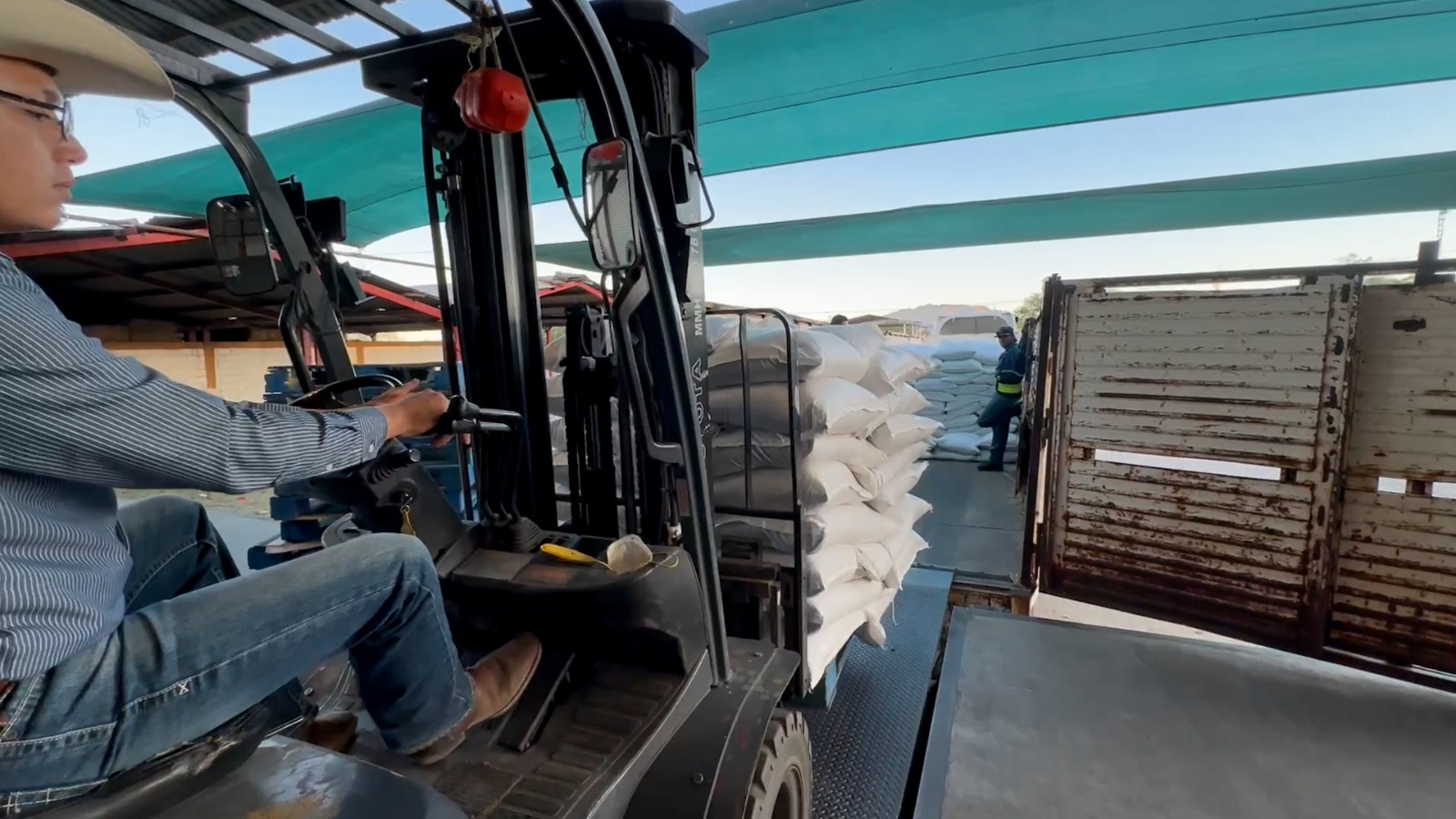Cerca de 300 toneladas de alimento proteínico han sido entregadas a pequeños ganaderos